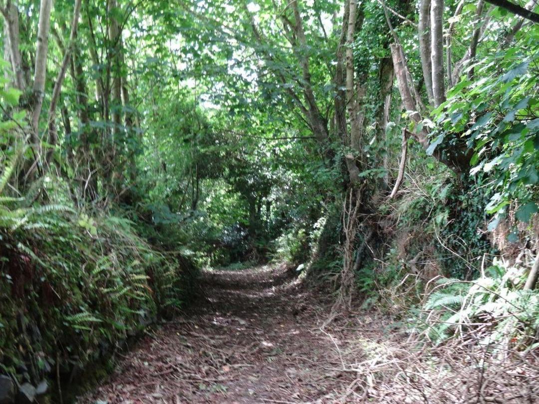 Badger Cottage Mawgan エクステリア 写真
